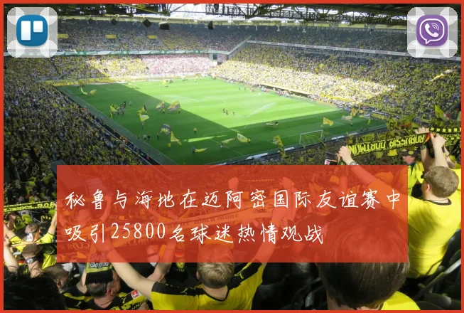 秘鲁与海地在迈阿密国际友谊赛中吸引25800名球迷热情观战