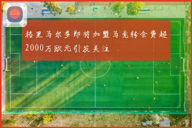 格里马尔多即将加盟马竞转会费超2000万欧元引发关注